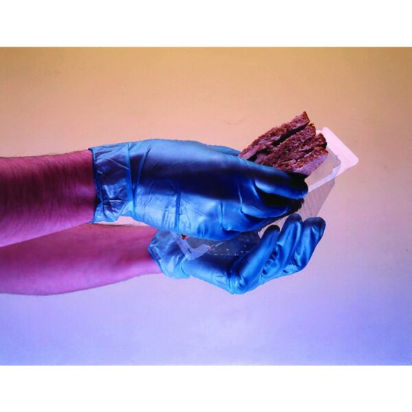 Disposable Blue Vinyl Powder Free gloves